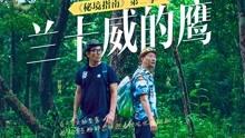 探索知识星球平台,《诗经》主要讲什么?引领未来智慧分享